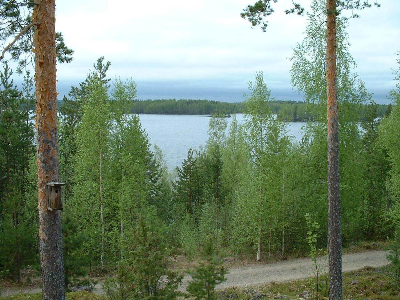 Pitkaeniemen Lomamoekit Villa Joutsa Bagian luar foto