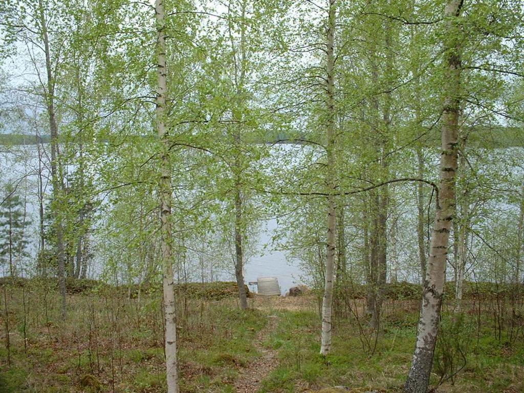 Pitkaeniemen Lomamoekit Villa Joutsa Bagian luar foto